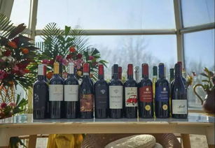 200畝農(nóng)場(chǎng),每年接待20萬(wàn)人,收入4000萬(wàn),秘訣在哪