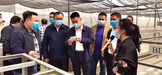 自治區發展改革委定點幫扶都安縣駐村工作隊赴南寧市、百色市開展鄉村振興調研