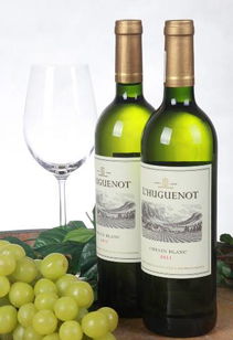 飯局上能喝出美麗 時(shí)尚 健康的酒,你選對了嗎