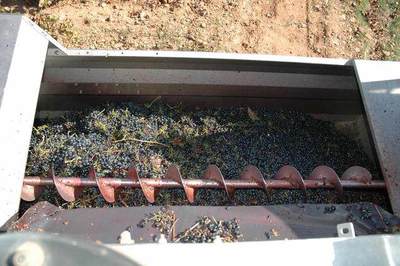 紅酒與葡萄酒 名稱的由來(lái)與工藝的區(qū)別