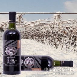 紫隆山紅寶石冰酒 品味時光凝萃，共創財富未來——通化紫隆山葡萄酒廠火熱招商